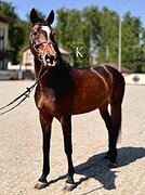МАРШРУТЫ 110 - 115 СМ