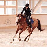 ЖЕРЕБЕЦ 5 ЛЕТ | 1 000 000Р