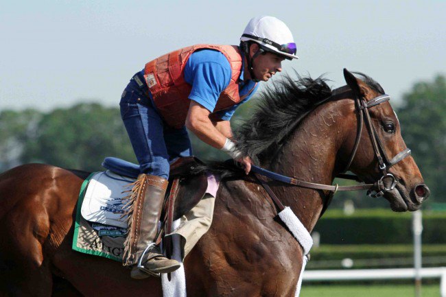 Ипподром Belmont Park 2012 год, подготовка к последнему этапу Тройной Короны - Belmont Stakes.