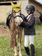 ПОНИ ИМПОРТНОГО ПРОИСХОЖДЕ