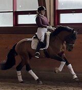 БЕЗОПАСНЫЙ В ВЫЕЗДКУ