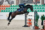 Кобыла 