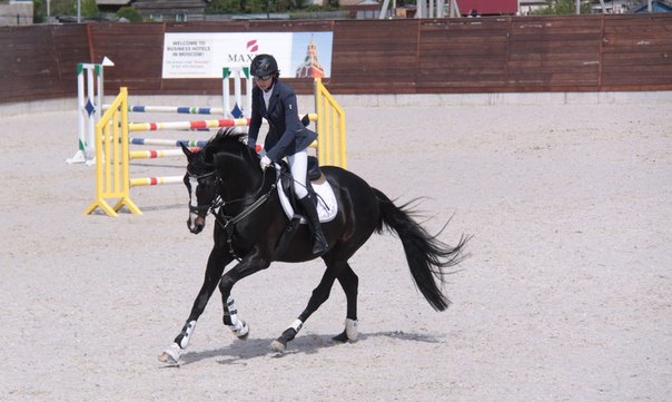 Кубок кск Maxima Stables