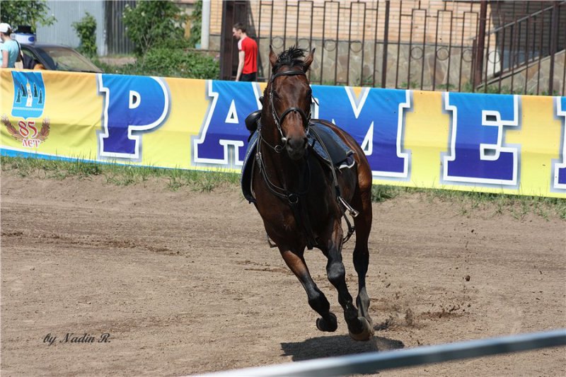 Побег.