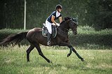 Маршруты 120, троеборье , юно