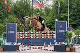 Мерин 2013 гр, 173 вх