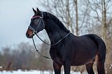 СРОЧНАЯ ПРОДАЖА,ВЕТЧЕК 01.26Г