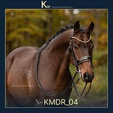 7-летний мерин под юношу