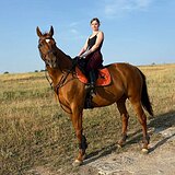 Буденновская кобыла 