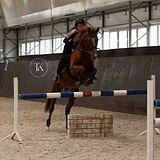 БУДЕННОВСКИЙ ЖЕРЕБЕЦ