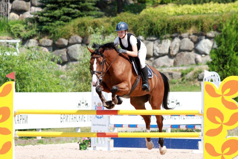 ШАТО П и Сомова Анастасия