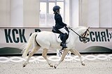 Уэлец 132 вх, 2017 гр