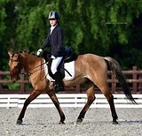 ПОНИ ПОД РЕБЕНКА ЛЮБОГО УРО