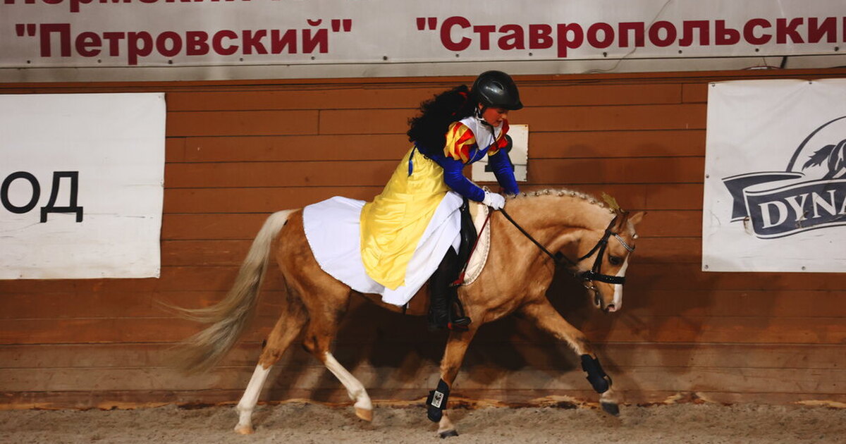 конец состязания. конец состязания. конец состязания. фото северск соревнования по стрельбе 2012018 2019. конец состязания.