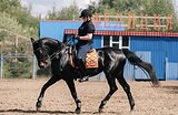 Юноши, элементы малого