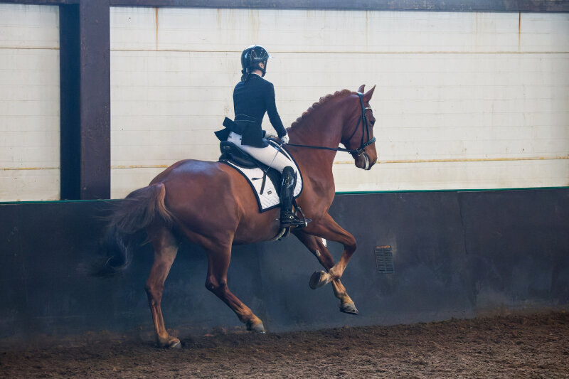 КИСС МИ-16 и Моисеева Анна