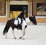 ПОНИ В ВЫЕЗДКУ