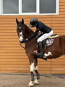 Срочно! Крупная кобыла