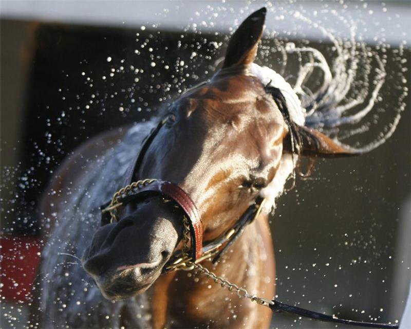 Churchill Downs 2006 год.