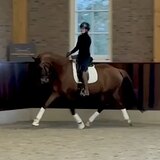 JUST FOR YOU X VIVALDI