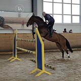 КОБЫЛА НА МАРШРУТЫ ДО 115