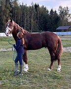 ВЫСОКИЙ МЕРИН • МАРШРУТЫ 70 