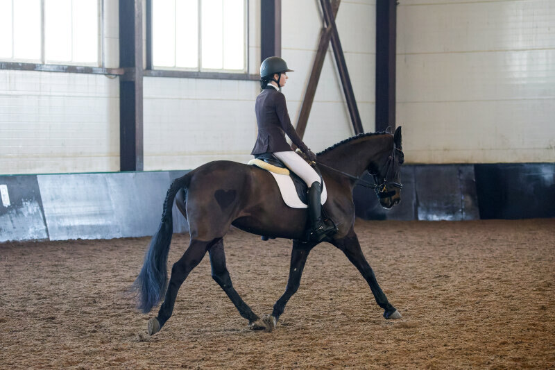 ХАРЛИ КВИН-18 и Меркулова Милана