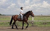 Полу-тяжик хоббик 