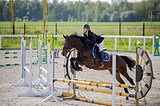Кобыла в конкур, 4 года