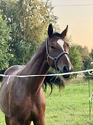 В спорт, импорт 3/4