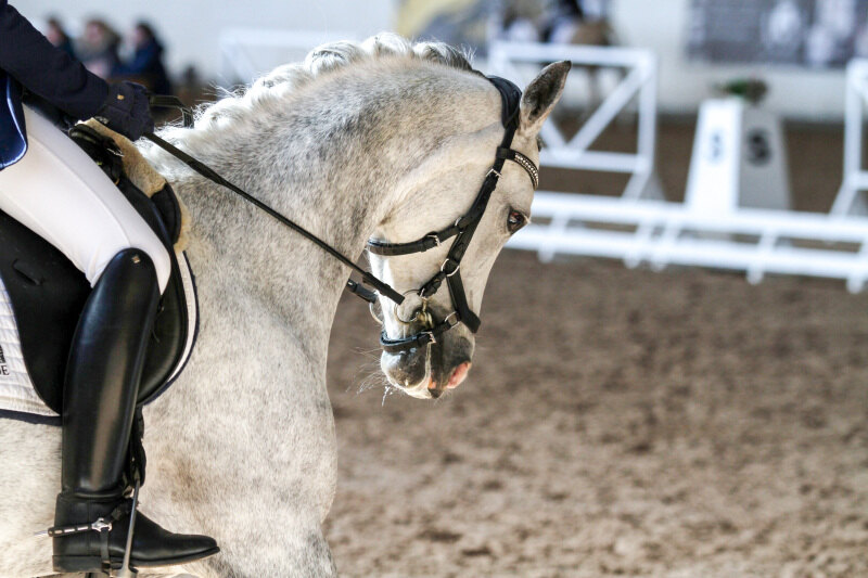 ДАНИЭЛЬ и Масленникова Кира