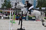 Тракененский мерин (конкур)
