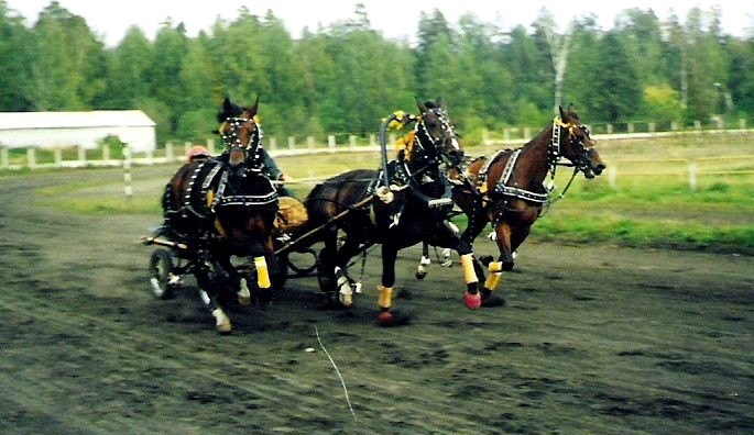 2000г,Кострома,чемпионат троек,тройка Яргорпарка,коренник Педди