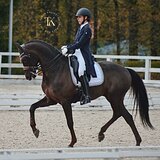 ВСЕ ЭЛЕМЕНТЫ БП