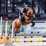 МЕРИН НА МАРШРУТЫ ДО 120 СМ