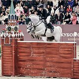 Жеребец уровня Гран При