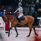 МЕРИН НА МАРШРУТЫ ДО 130 СМ