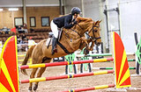 Мерин 2015 гр, 170 вх