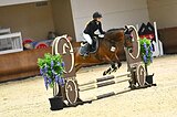 Кобыла на маршруты 90-100