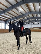 Тренировки на спортивных лошадях