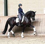 Вороная красавица