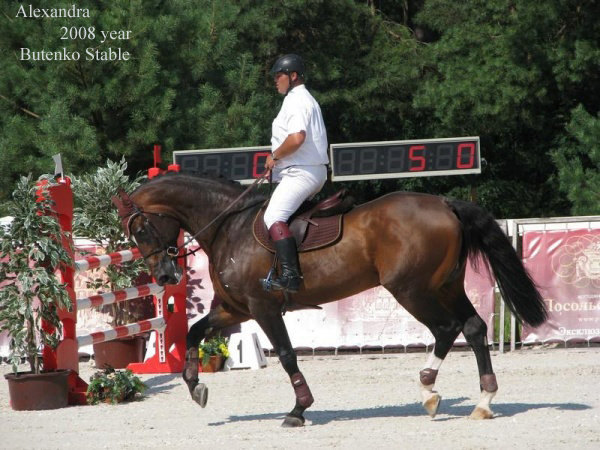 Butenko Stable