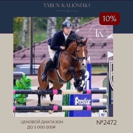 Купи спорт ру