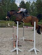 МАРШРУТЫ ДО 120 СМ