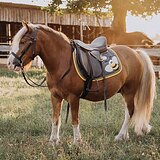 МЕРИН КРОСС ТИНКЕР