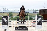 Мерин 2018 г.р.