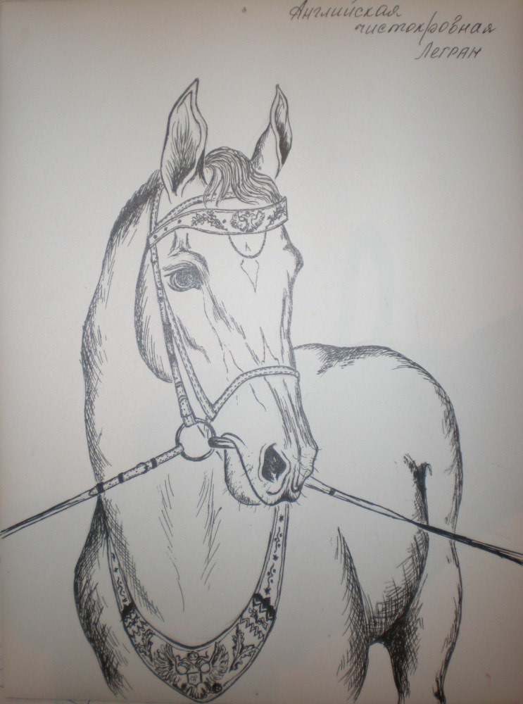 Здравствуйте, я тоже люблю рисовать лошадей, правдо не профессионально. Эту лошадь рисовала фотографии из "Золотого мустанга", но, к сожалению, точно не помню