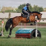 ИМЕЕТ ОПЫТ В ТРОЕБОРЬЕ