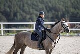 МОЛОДОЙ МЕРИН В КОНКУР