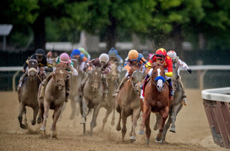 Ипподром Belmont Park, скачка Belmont Stakes (последний этап Тройной Короны) 2018 год.